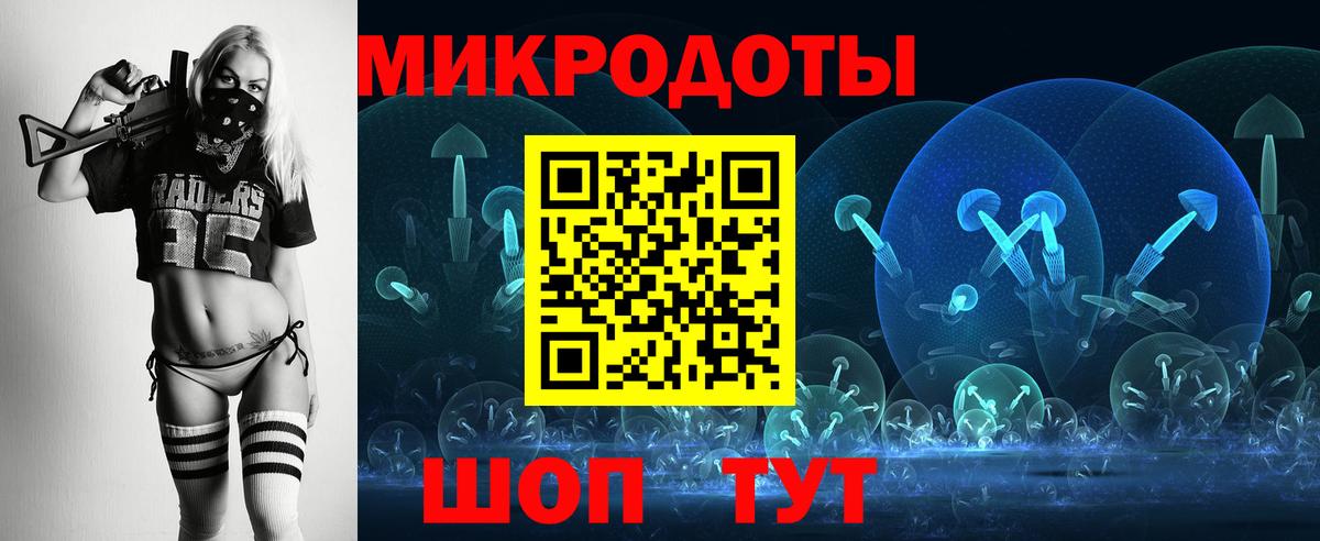 Псилоцибиновые грибы Psilocybe Реутов